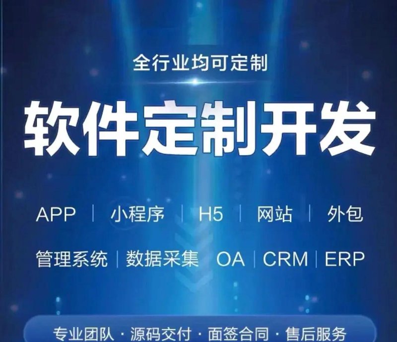 企业进销存系统的开发与运用